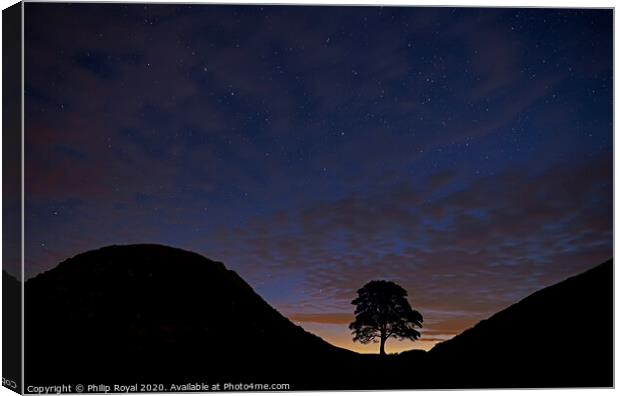 The Big Dipper over Sycamore Gap, Northumberland Canvas Print by Philip Royal