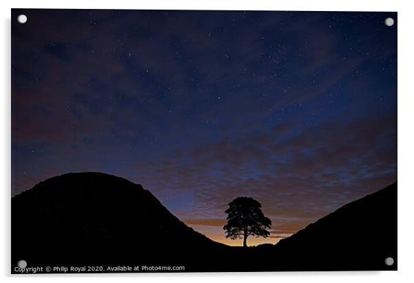 The Big Dipper over Sycamore Gap, Northumberland Acrylic by Philip Royal
