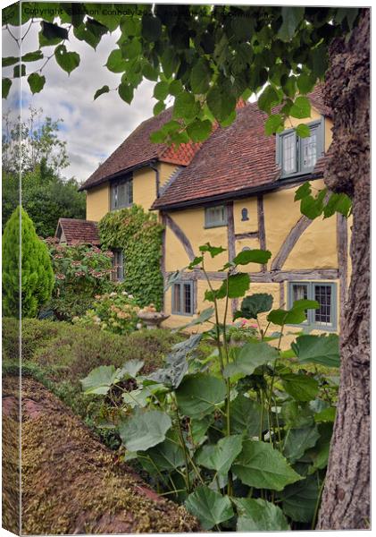 Lime Cottage, Shere Village. Canvas Print by Jason Connolly