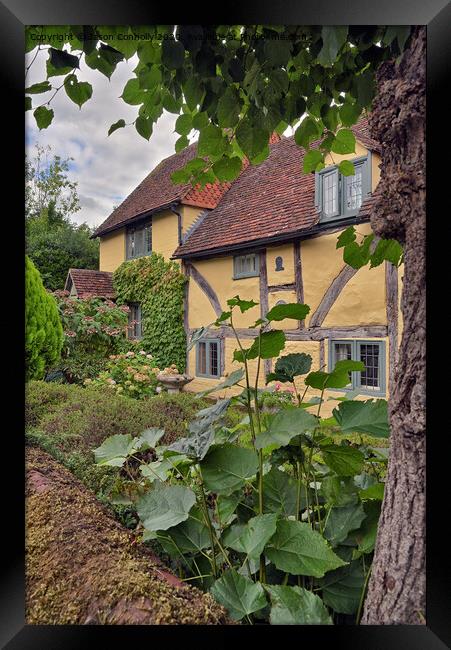 Lime Cottage, Shere Village. Framed Print by Jason Connolly