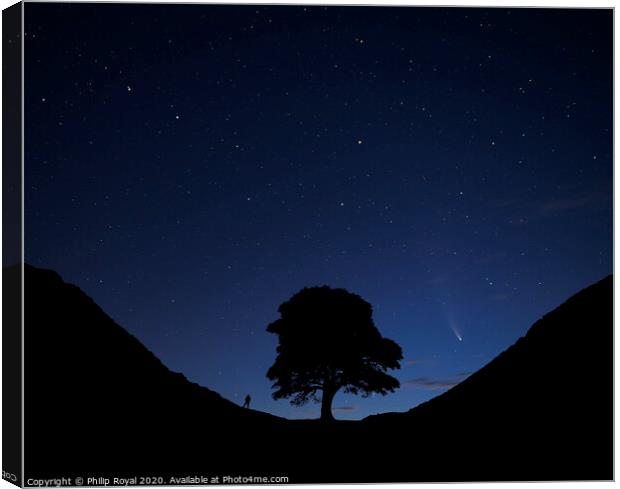 Stargazing Comets at Sycamore Gap, Northumberland Canvas Print by Philip Royal