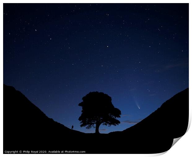 Stargazing Comets at Sycamore Gap, Northumberland Print by Philip Royal