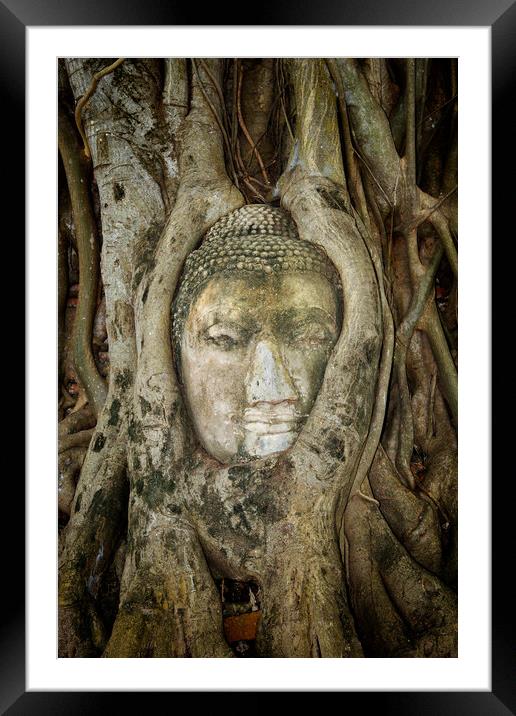 Ancient Buddha Entwined Within Tree Roots In Thailand Framed Mounted Print by Artur Bogacki