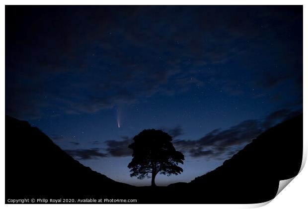 Comet Neowise C2020 at Sycamore Gap, Northumberlan Print by Philip Royal