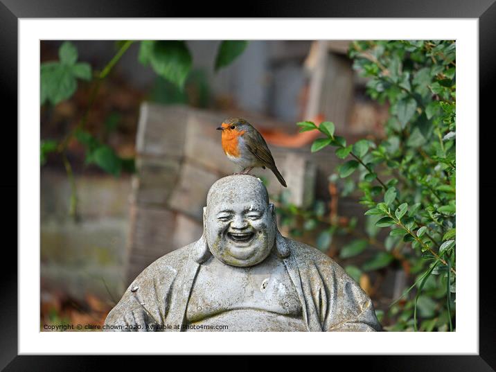 The Robin and The Buddha Framed Mounted Print by claire chown