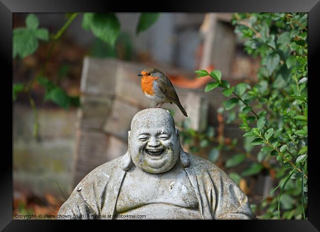 The Robin and The Buddha Framed Print by claire chown