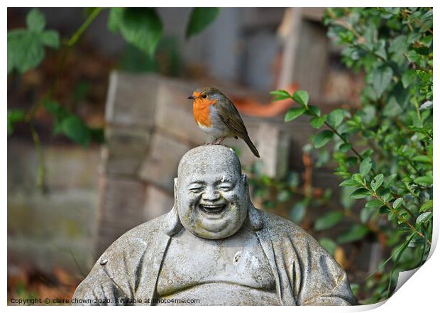 The Robin and The Buddha Print by claire chown