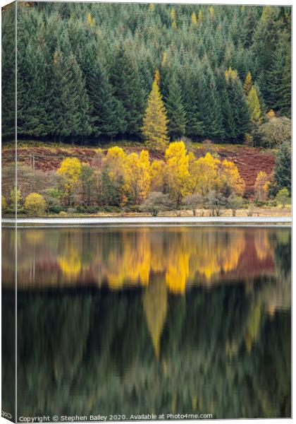 Autumn Reflections Canvas Print by Stephen Bailey