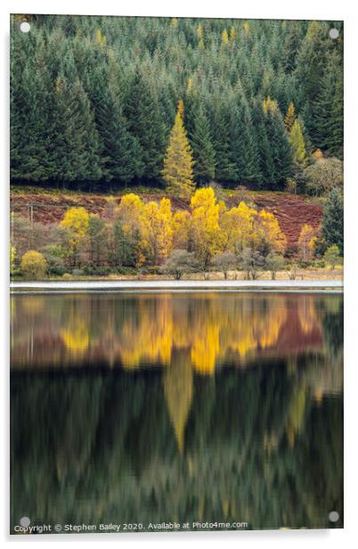 Autumn Reflections Acrylic by Stephen Bailey