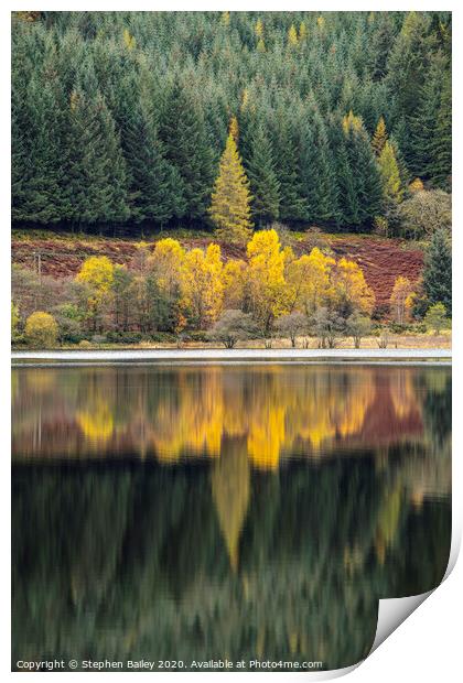 Autumn Reflections Print by Stephen Bailey
