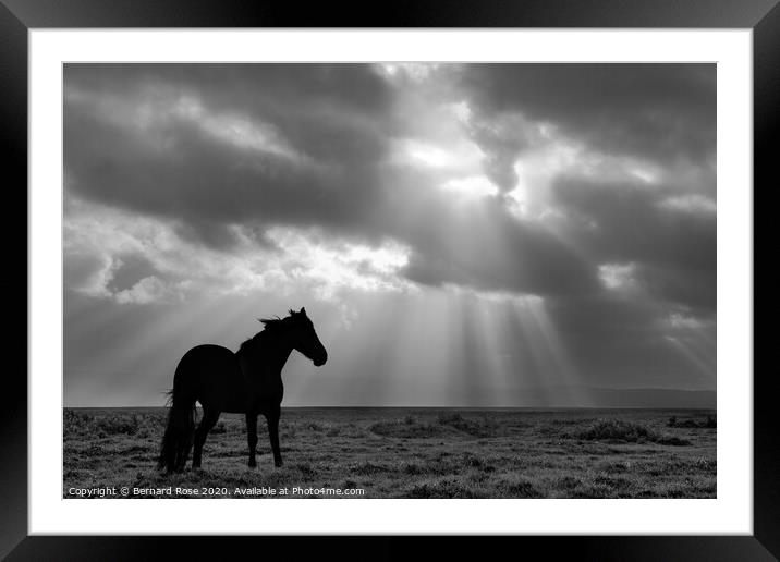 Black Horse on Neston Marsh - Black &amp; White Framed Mounted Print by Bernard Rose Photography