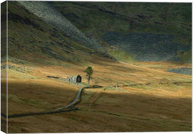 Cwmorthin chapel Canvas Print by Rory Trappe