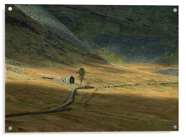 Cwmorthin chapel Acrylic by Rory Trappe