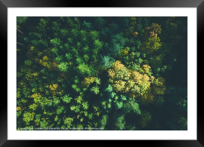 Aerial view of color autumn forest Framed Mounted Print by Łukasz Szczepański