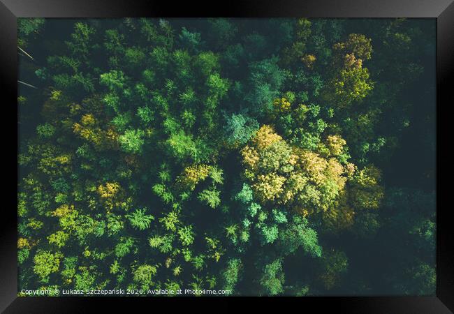 Aerial view of color autumn forest Framed Print by Łukasz Szczepański