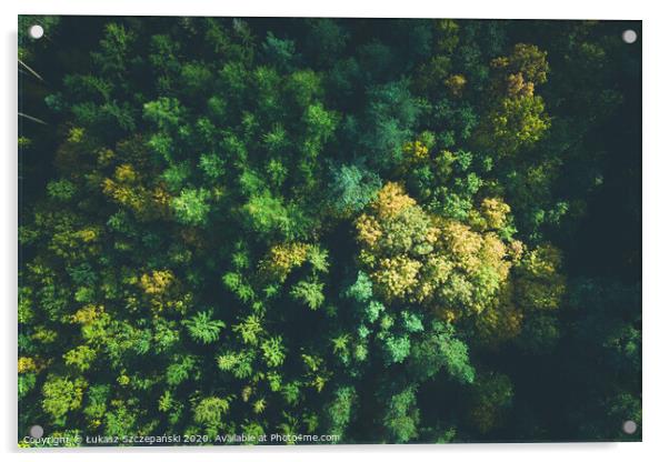 Aerial view of color autumn forest Acrylic by Łukasz Szczepański