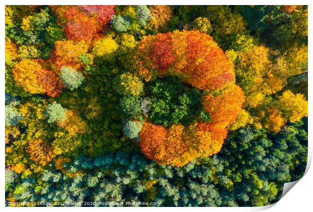 Aerial top down view of vibrant colorful autumn fo Print by Łukasz Szczepański