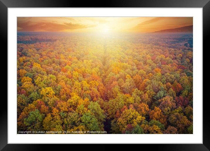 Aerial view of road through colorful autumn forest Framed Mounted Print by Łukasz Szczepański