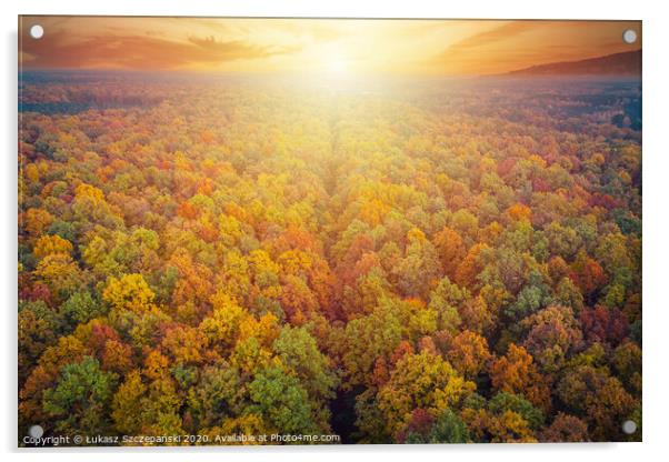 Aerial view of road through colorful autumn forest Acrylic by Łukasz Szczepański