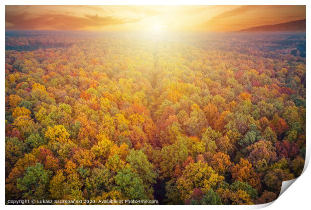 Aerial view of road through colorful autumn forest Print by Łukasz Szczepański