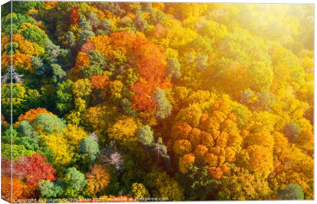 Aerial view of color autumn forest and sunset Canvas Print by Łukasz Szczepański