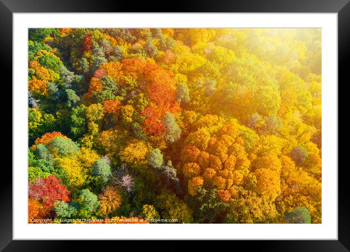 Aerial view of color autumn forest and sunset Framed Mounted Print by Łukasz Szczepański