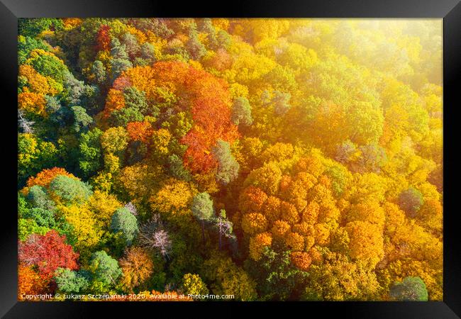 Aerial view of color autumn forest and sunset Framed Print by Łukasz Szczepański