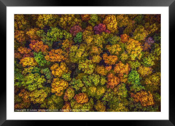 Aerial top down view view of vibrant color autumn  Framed Mounted Print by Łukasz Szczepański