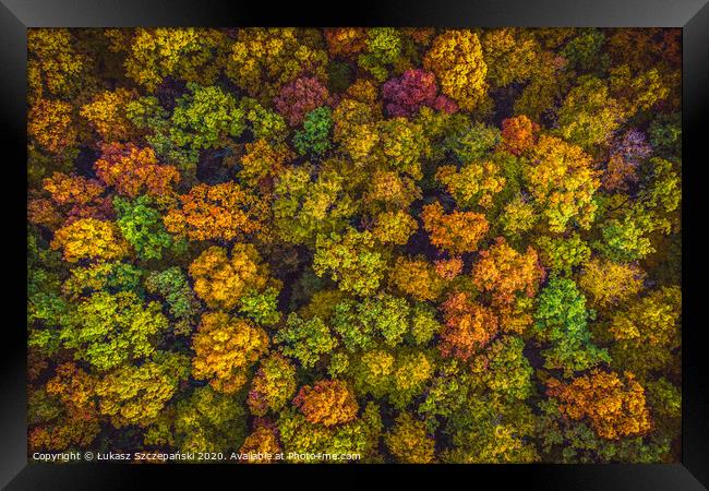 Aerial top down view view of vibrant color autumn  Framed Print by Łukasz Szczepański