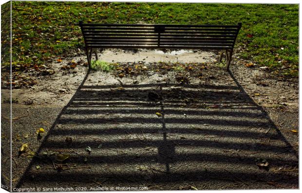 Shadows of a bench Canvas Print by Sara Melhuish
