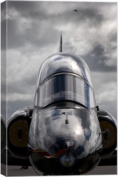 Hawk trainer Canvas Print by Rory Trappe
