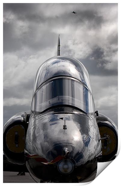 Hawk trainer Print by Rory Trappe