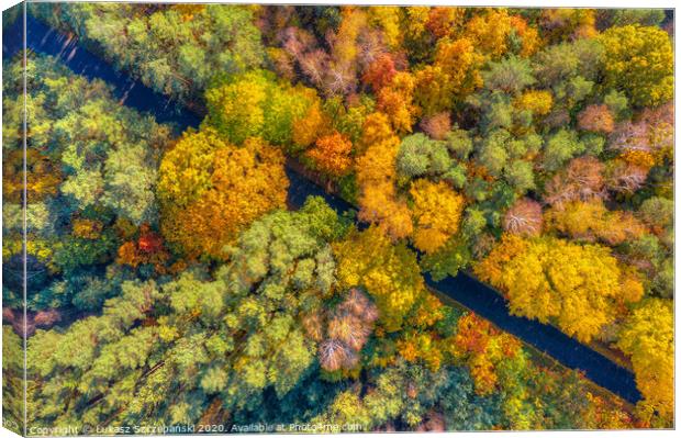 Aerial view of road through colorful autumn forest Canvas Print by Łukasz Szczepański