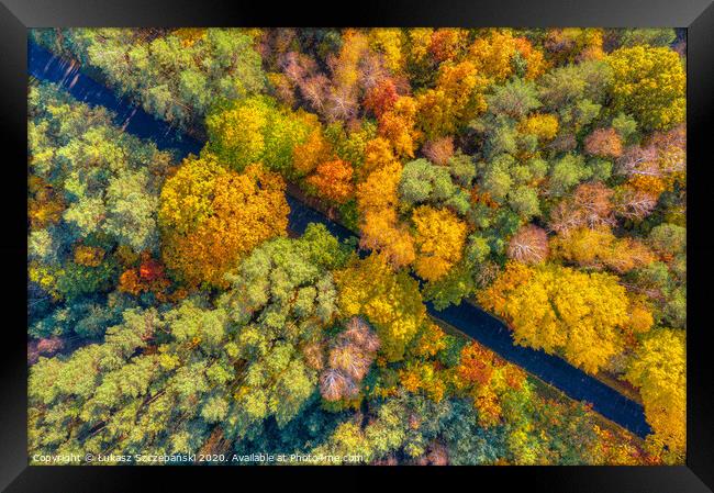 Aerial view of road through colorful autumn forest Framed Print by Łukasz Szczepański