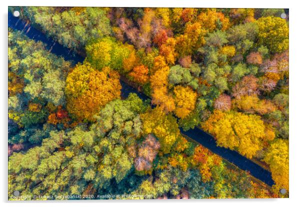 Aerial view of road through colorful autumn forest Acrylic by Łukasz Szczepański
