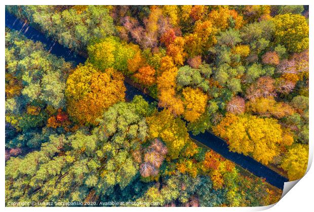 Aerial view of road through colorful autumn forest Print by Łukasz Szczepański