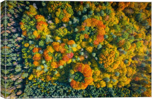 Aerial top down view of vibrant colorful autumn fo Canvas Print by Łukasz Szczepański