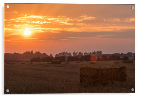 Sonnenuntergang über den Feldern Acrylic by Thomas Schaeffer