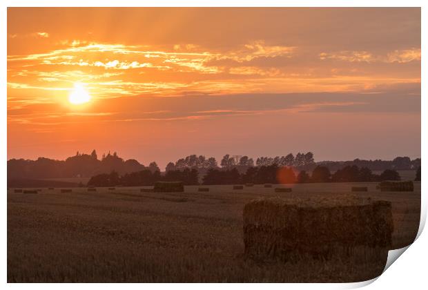 Sonnenuntergang über den Feldern Print by Thomas Schaeffer