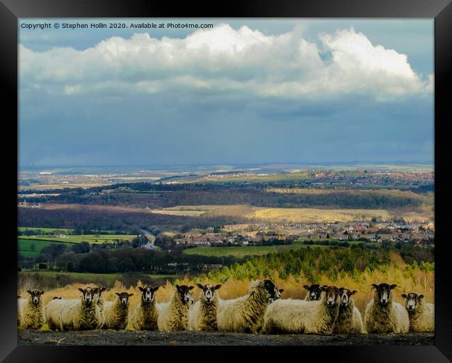 Onlookers Framed Print by Stephen Hollin