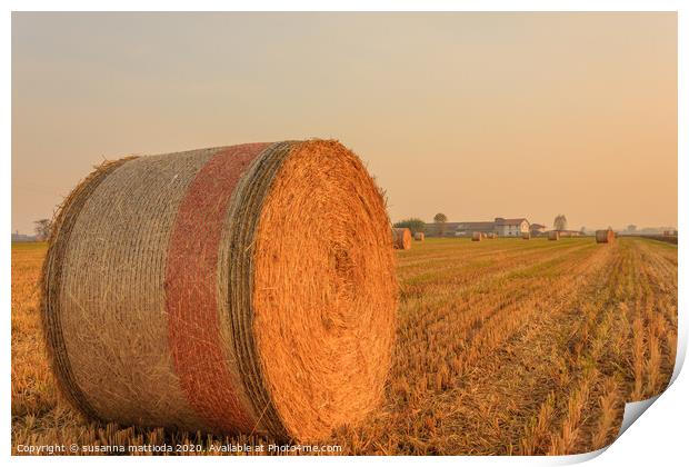 close-up of a hay cylindrical bale in a farmland Print by susanna mattioda