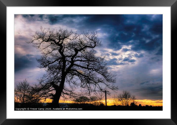Sunset Silhouette Framed Mounted Print by Trevor Camp