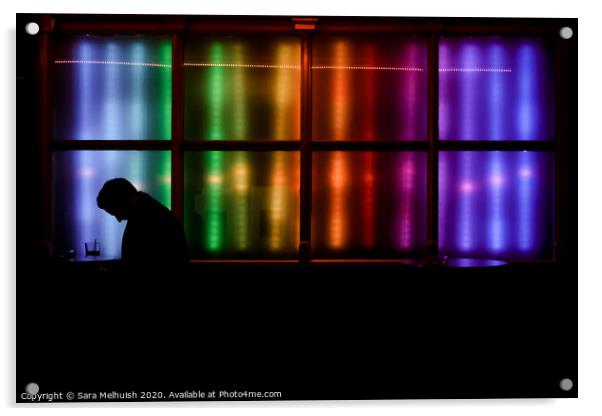 Silhouette by rainbow window Acrylic by Sara Melhuish