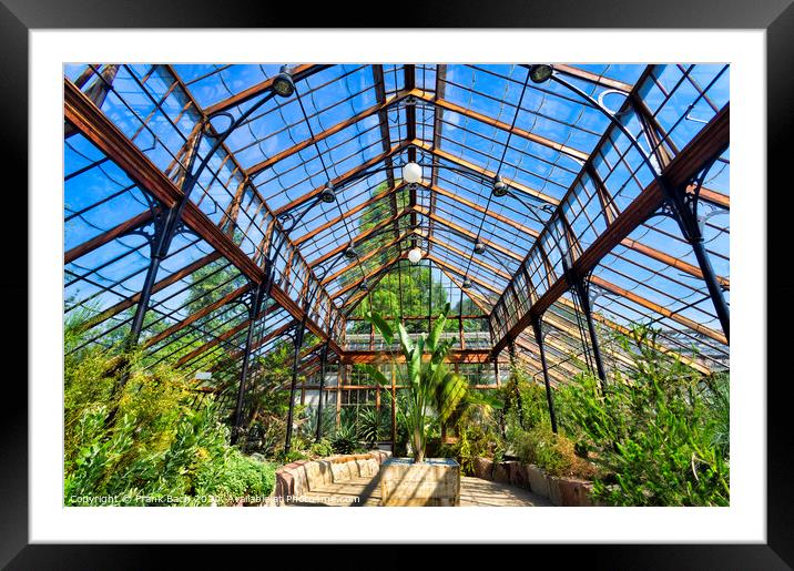 Botanical garden, Greenhouse Framed Mounted Print by Frank Bach
