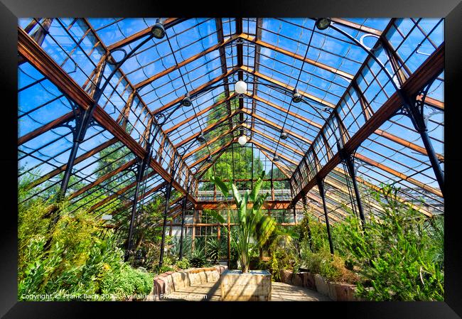 Botanical garden, Greenhouse Framed Print by Frank Bach