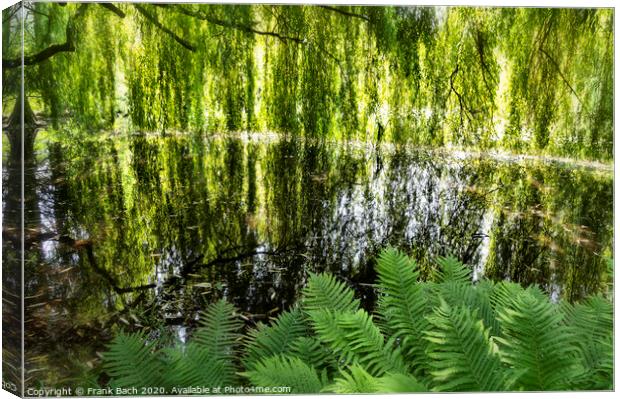 Lake with weeping willows  Canvas Print by Frank Bach