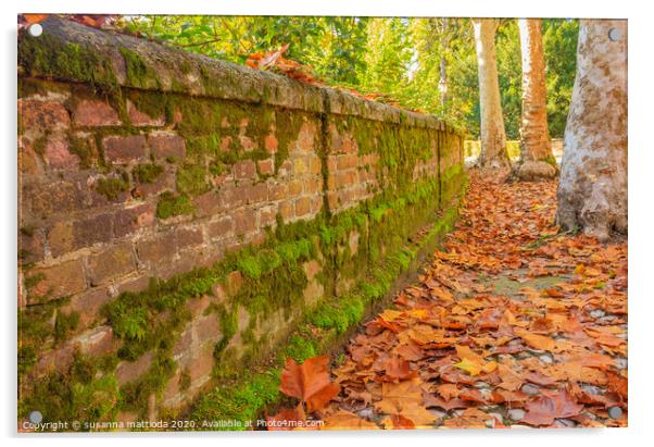 an autumn avenue bordered by a low wall,  and trees  Acrylic by susanna mattioda
