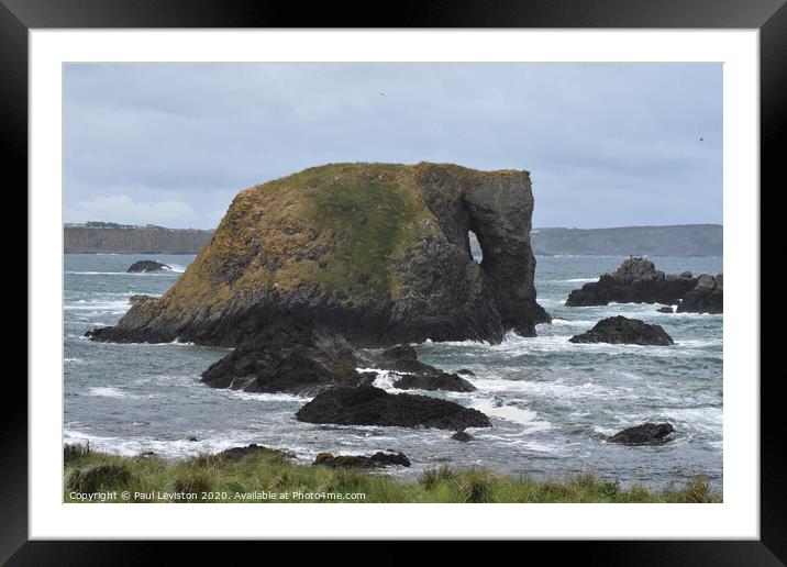 Elephant Rock in for a Swim  Framed Mounted Print by Paul Leviston
