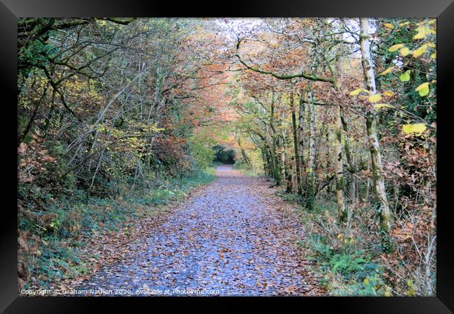 Discover the Beauty of Autumn along the Old Railwa Framed Print by Graham Nathan