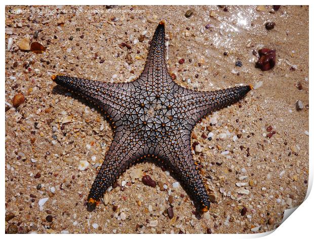 Starfish Print by Paul Richards